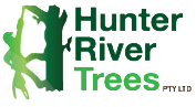 Hunter River Trees